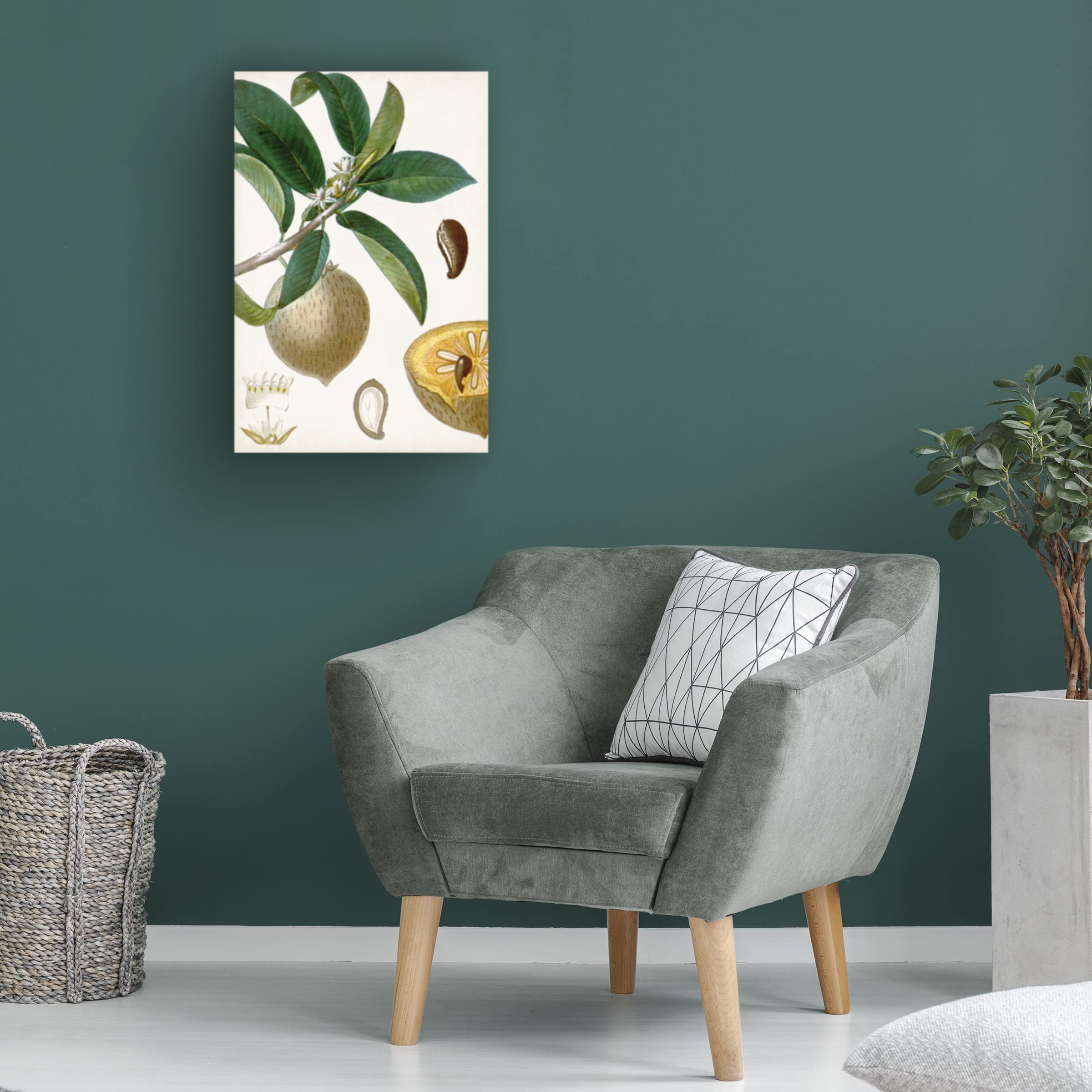 Trademark Fine Art 'Turpin Tropical Fruit I' Canvas Wall Art Print - Vibrant Tropical Fruit Painting for Home & Office Decor, Living Room, Bedroom, Kitchen