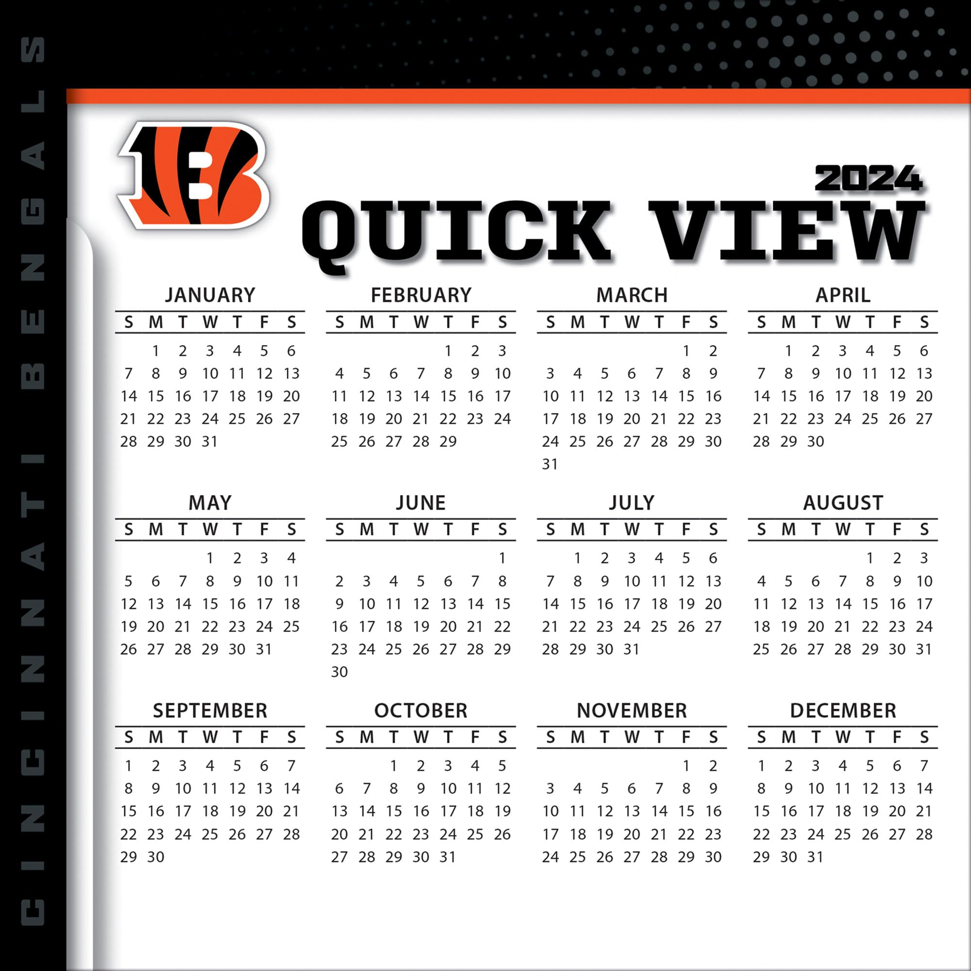 Turner Sports Cincinnati Bengals 2024 Monthly Box Calendar - Official NFL Team Wall Planner - Perfect for Football Fans, Office Decor & Home Organization (24998053034)