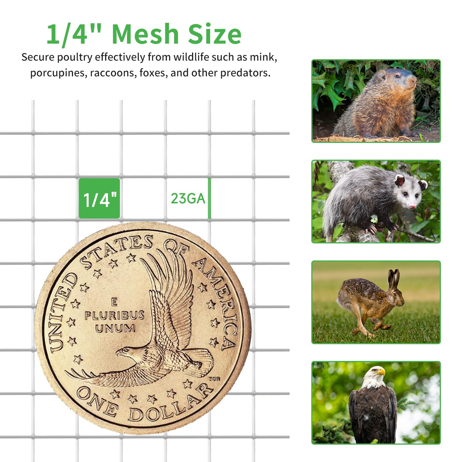 1/4 Inch Galvanized Chicken Wire Mesh - 23 Gauge 48