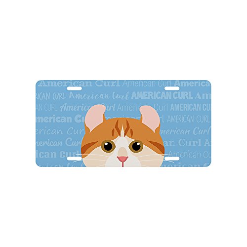 American Curl