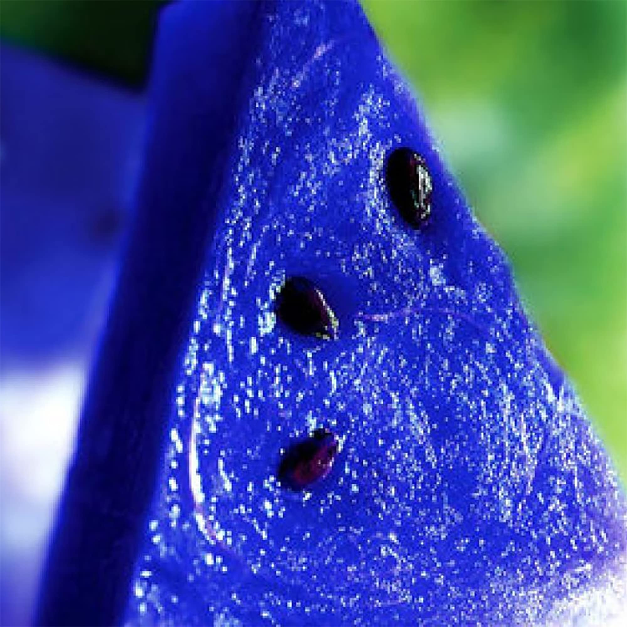 100 Rare Blue Watermelon Seeds for Planting - Sweet, Juicy, Non-GMO Heirloom Fruit Seeds | Easy to Grow Delicious Fruit for Home Garden & Outdoor Farming | Perfect for Fresh Eating, Juicing, and Summer Picnics