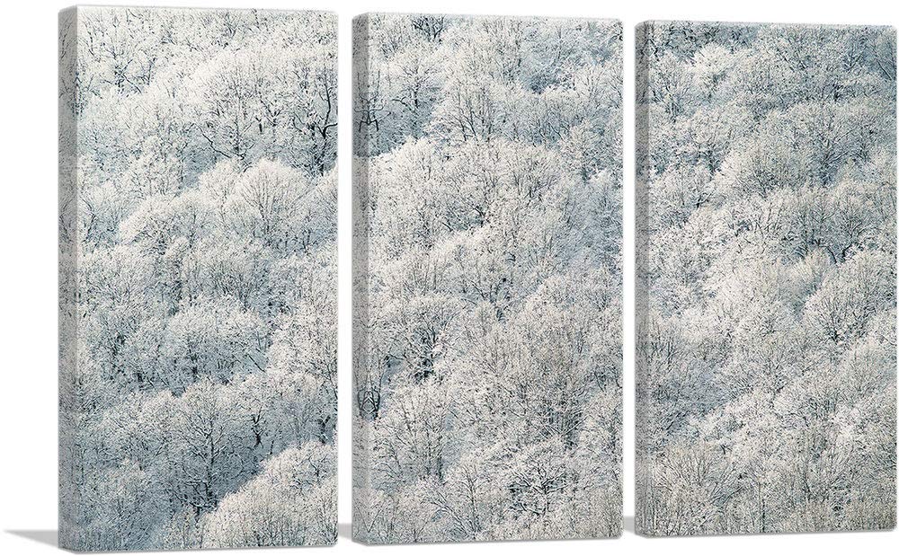 Winter Forest Canvas Wall Art - 60