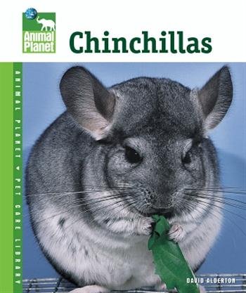 Premium Small Animal Supplies for Chinchillas - Soft Bedding, Chew Toys & Habitat Accessories | Perfect for Cage Enrichment & Small Pet Care