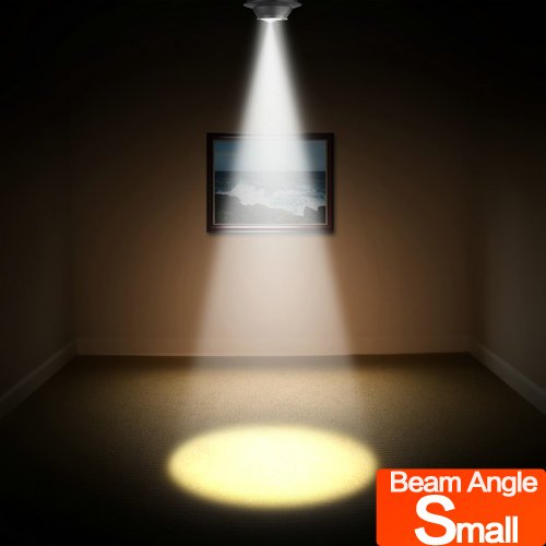 LED Counter Light & Focus Spotlight - Energy Efficient Under Cabinet Lighting for Kitchen, Bar, and Retail Display
