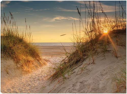 Coastal Dunes