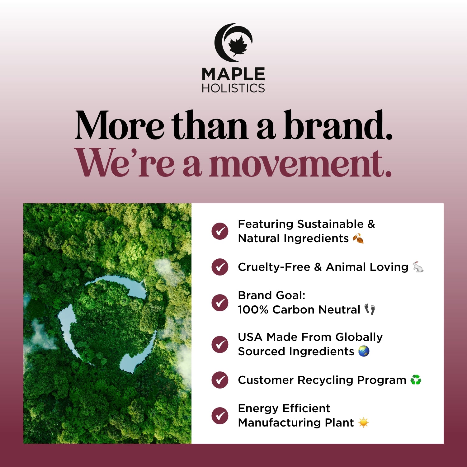 Organic Cold-Pressed Grapeseed Oil - 100% Pure Natural Cooking Oil for High Heat & Skin Care - Perfect for Frying, Baking, Salad Dressing & DIY Beauty Products