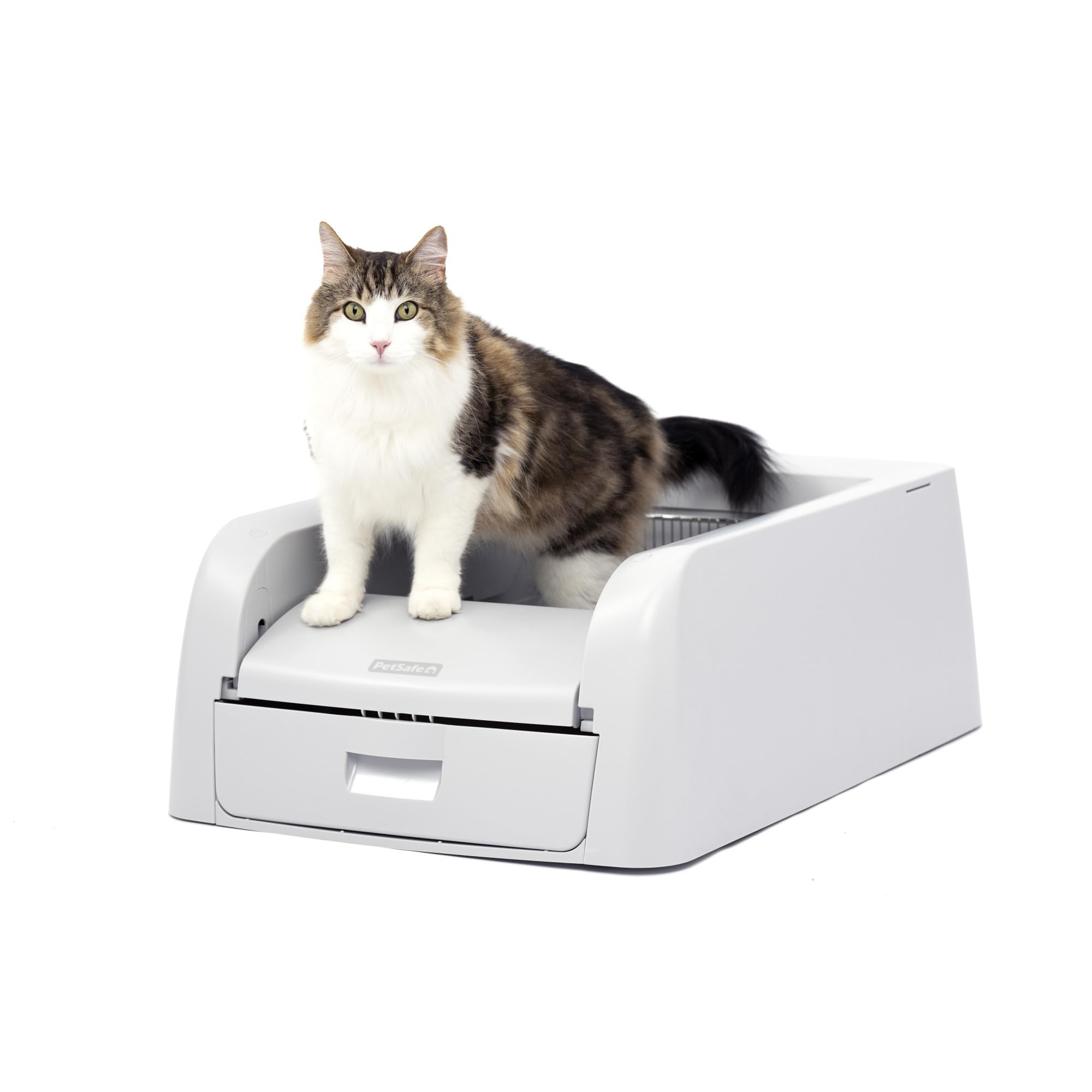 PetSafe ScoopFree Automatic Self-Cleaning Cat Litter Box for Clumping Litter - Odor Control for Single or Multiple Cats - Low Maintenance Pet Care Solution - Perfect for Home, Apartment & Travel Use