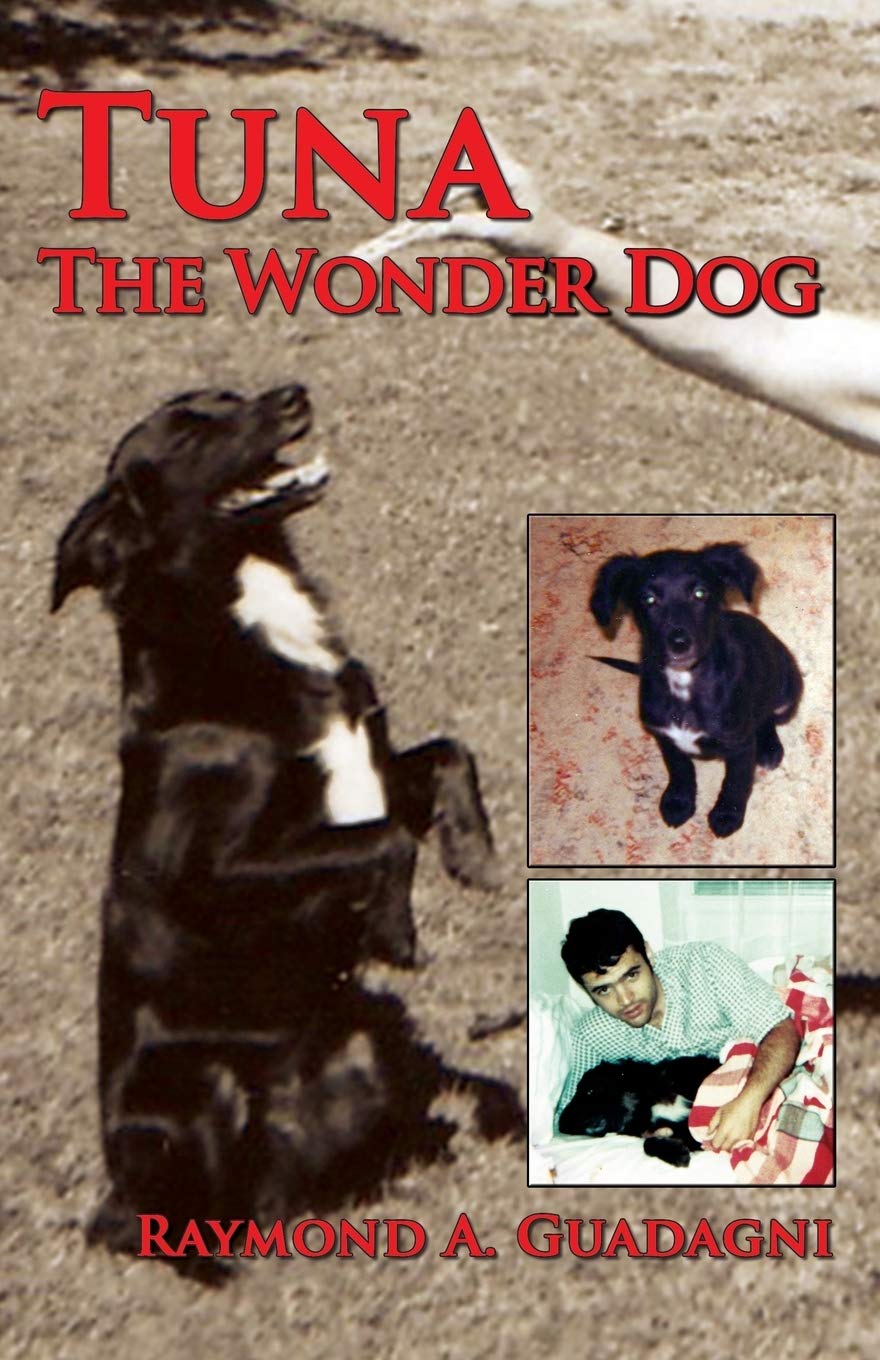 Tuna the Wonder Dog - Adorable Costume for Small Dogs - Perfect for Halloween, Christmas & Pet Parties