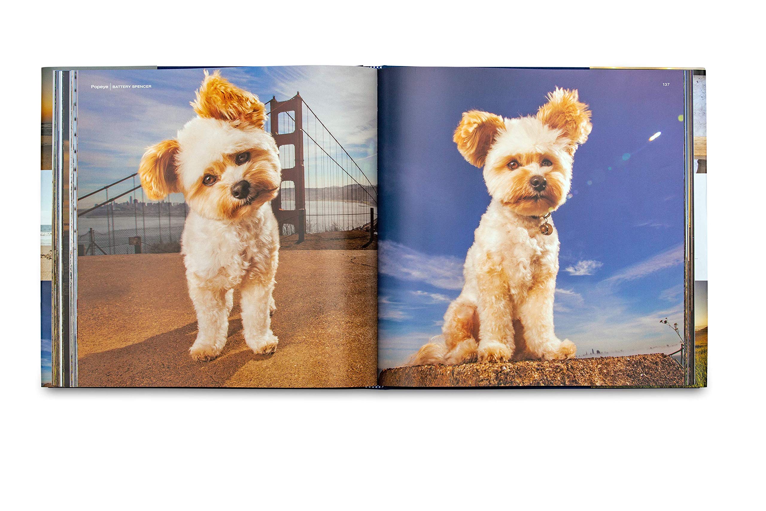 49 Dogs and One Cat: The Insider's Guide to San Francisco Travel Book - Perfect for Tourists, Locals & Pet Lovers Exploring California