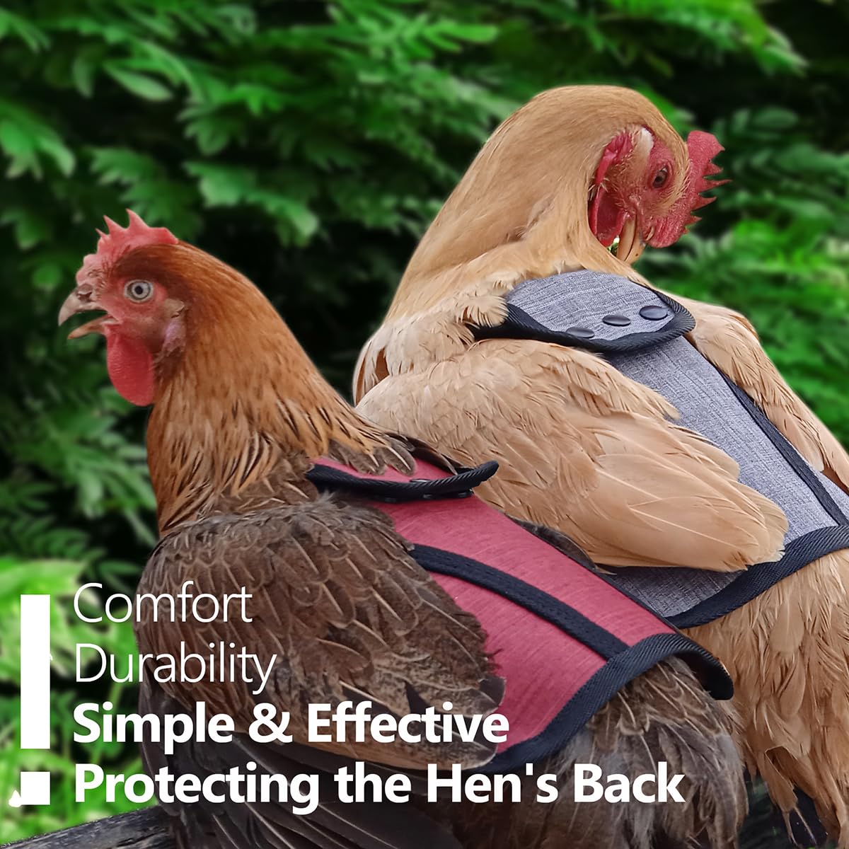 Chicken Saddle for Hens - Protective Poultry Apron to Prevent Feather Loss & Injury | Perfect for Backyard Chickens, Egg Layers & Free-Range Birds | Use for Comfort & Safety During Mating Season