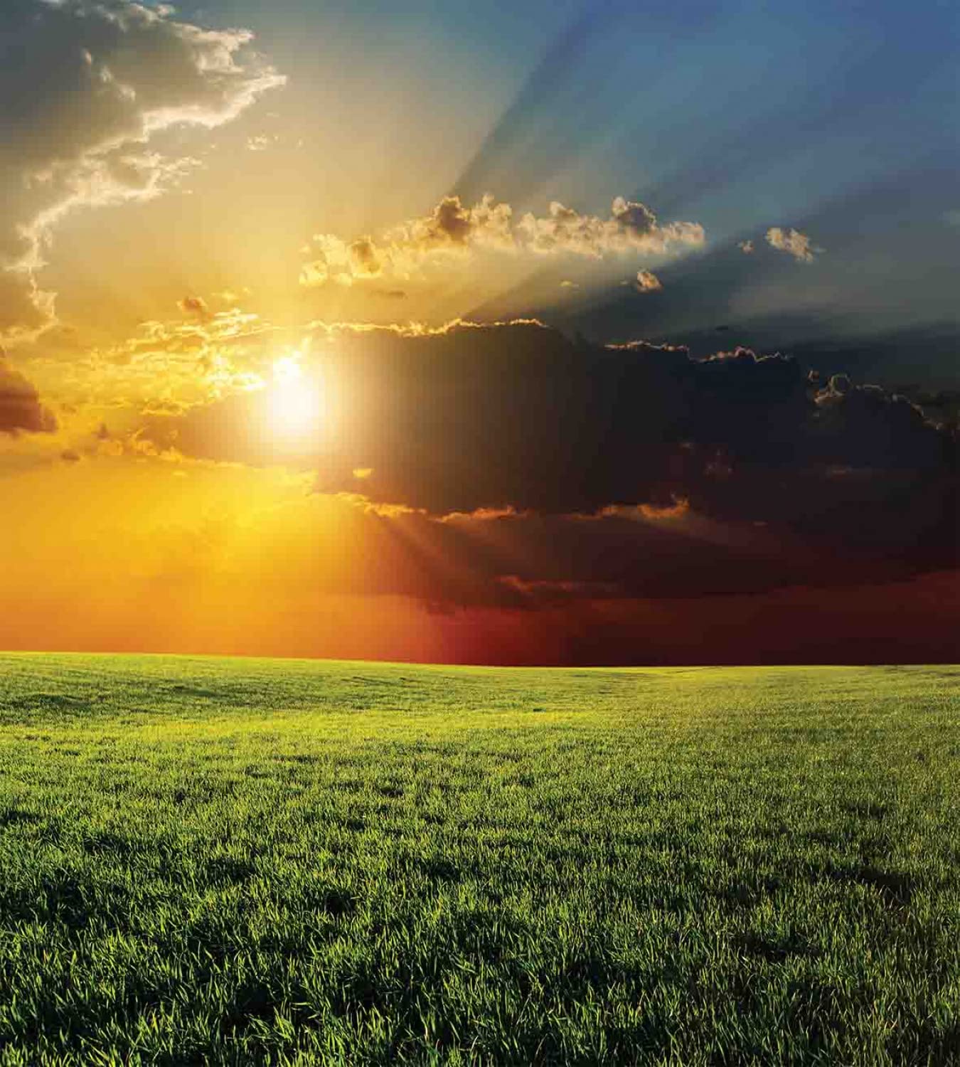 Ambesonne Rustic Duvet Cover Set - King Size 2-Pack with 2 Duvet Covers & 4 Pillowcases, Dramatic Sunset Agricultural Field Design with Sunbeams Through Dark Clouds in Green & Yellow | Farmhouse Bedroom Decor, Cozy Farmhouse Style Bedding for Master & Guest Rooms