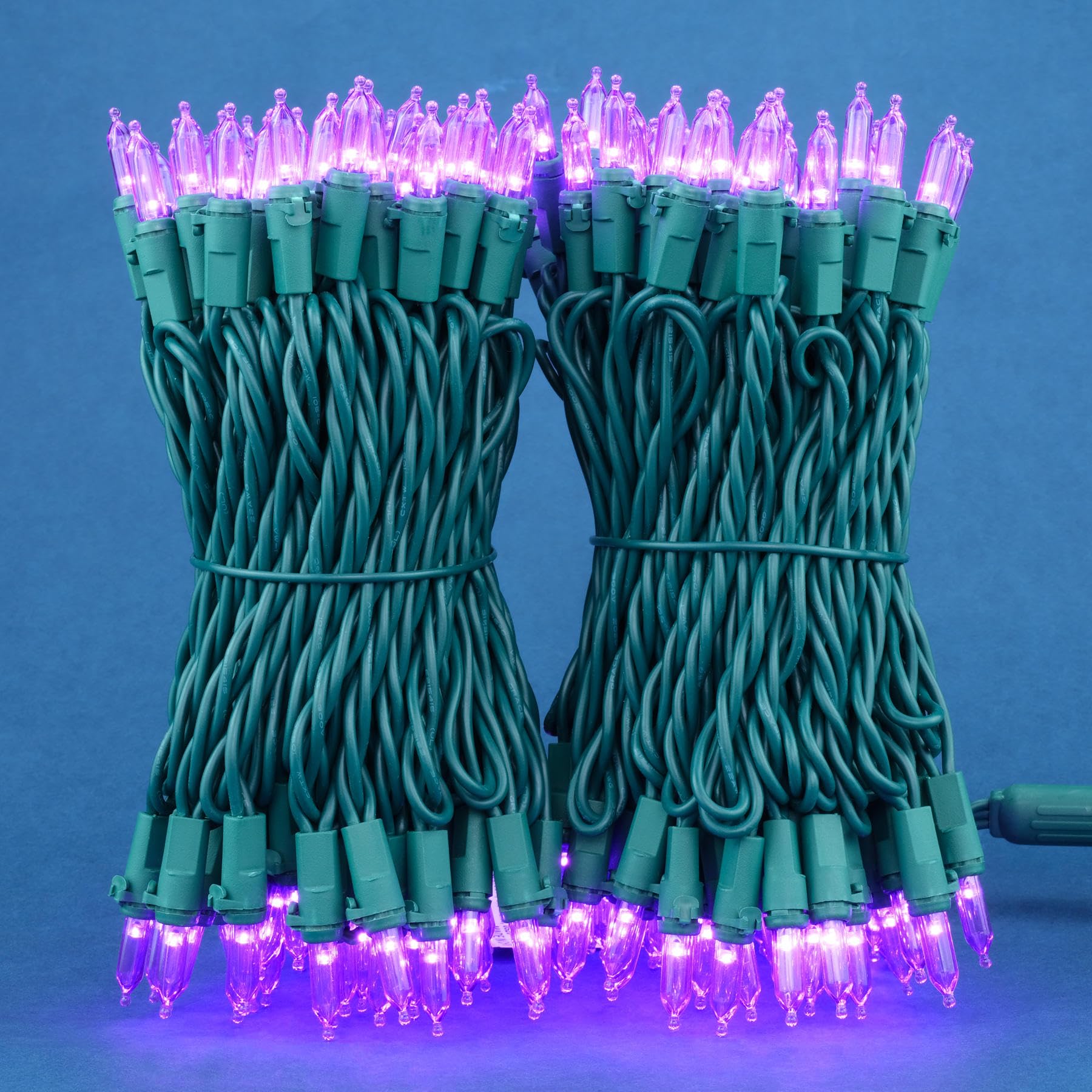 200-Count Purple LED Christmas Lights - 2 Pack of 25ft Mini String Lights with 100 LEDs & Green Wire | Perfect for Holiday Decor, Tree Trimming, and Outdoor Party Lighting