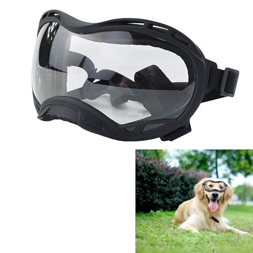 Black Frame & Clear Lens/Large