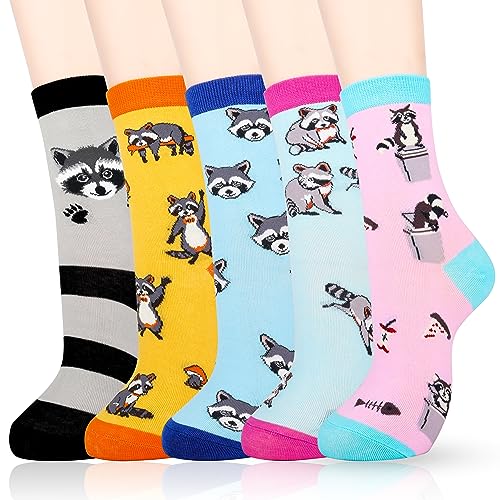 Multicolor-raccoon