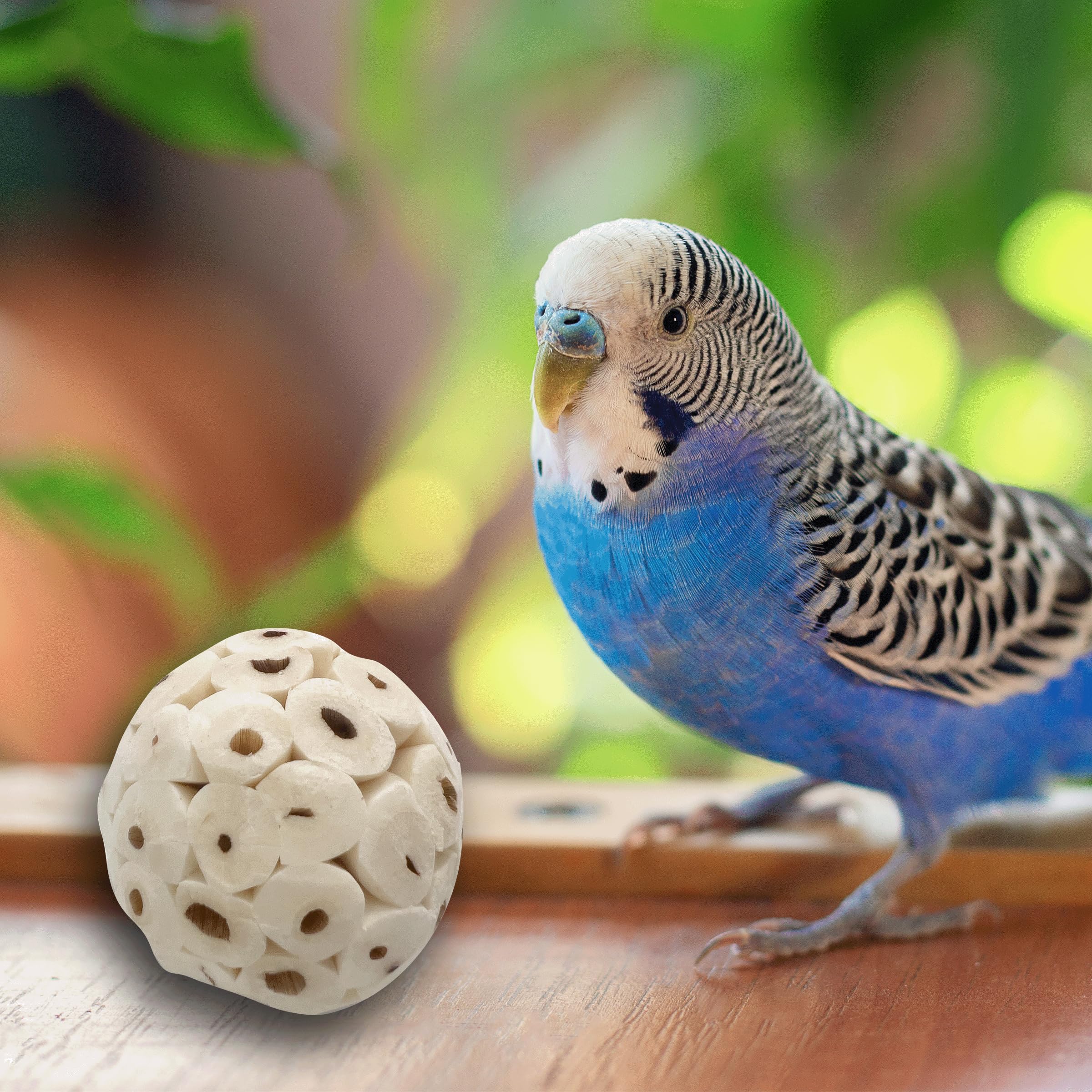 5124 Mini Sola Balls Pk18 - Handcrafted Soft Sola Wood Bird Foraging Foot Toys | Small Chewable Balls for Parakeets, Cockatiels & Lovebirds | Lightweight Beak & Foot Conditioner | Perfect for Cage Play, Training & Enrichment Activities