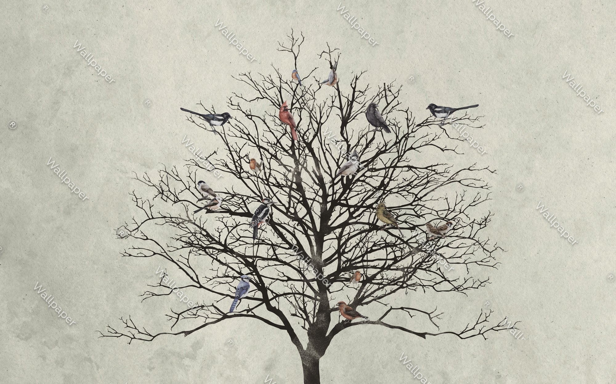 Winter Birds Tree Wallpaper Mural - Nature-Inspired Home Decor for Living Room & Bedroom | Peel and Stick Removable Wallpaper