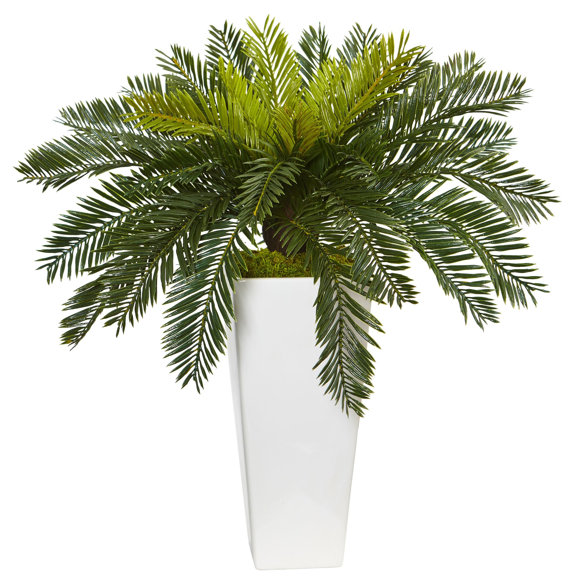 Nearly Natural 6951 Cycas Artificial Plant in White Planter - Realistic Fake Green Palm Tree for Home & Office Decor - Perfect for Living Room, Bedroom, or Office Space