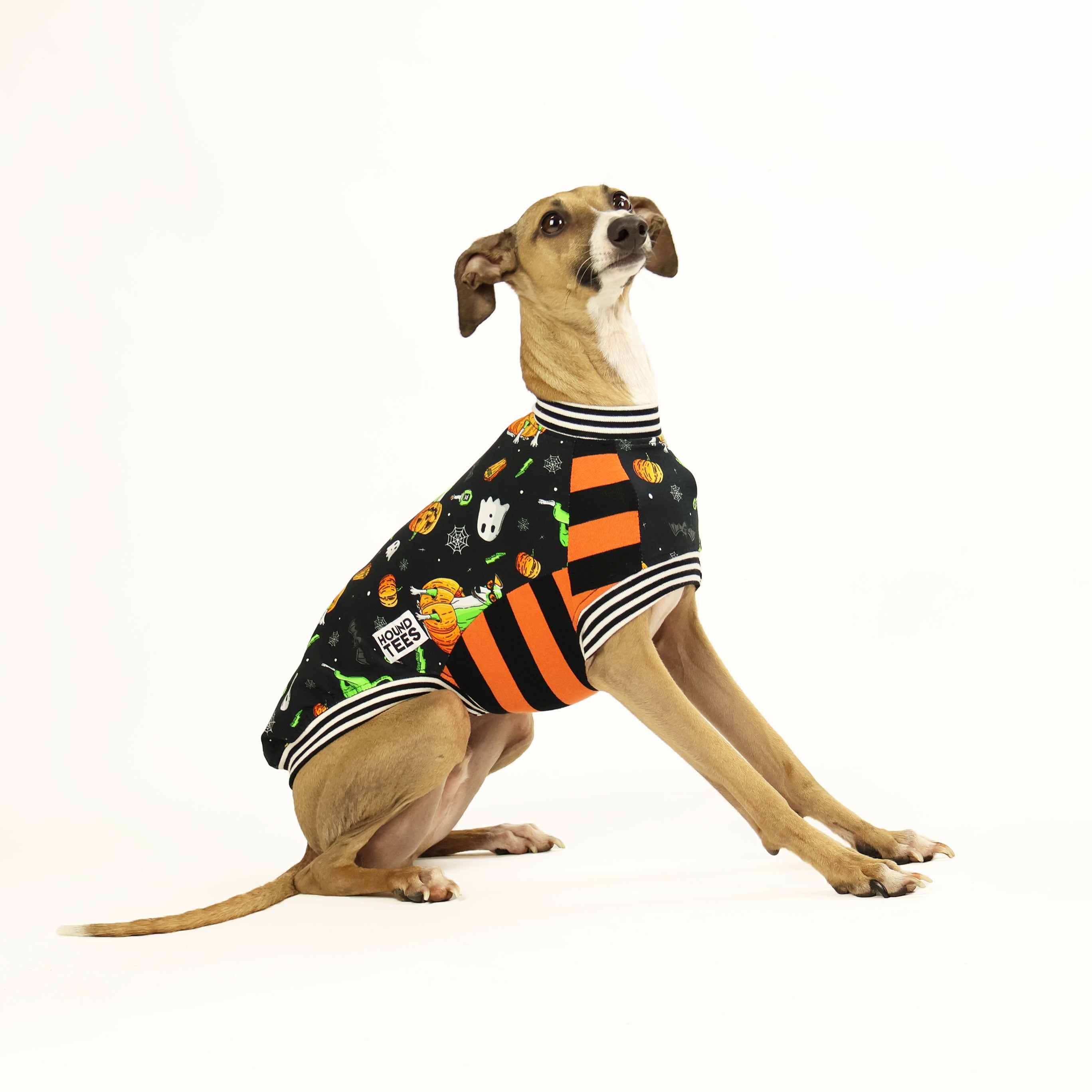 Pumpkin Head Italian Greyhound Sleeveless Dog T-Shirt - Cute Pet Apparel for Halloween, Christmas & Casual Wear