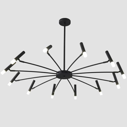 Black 12-Light
