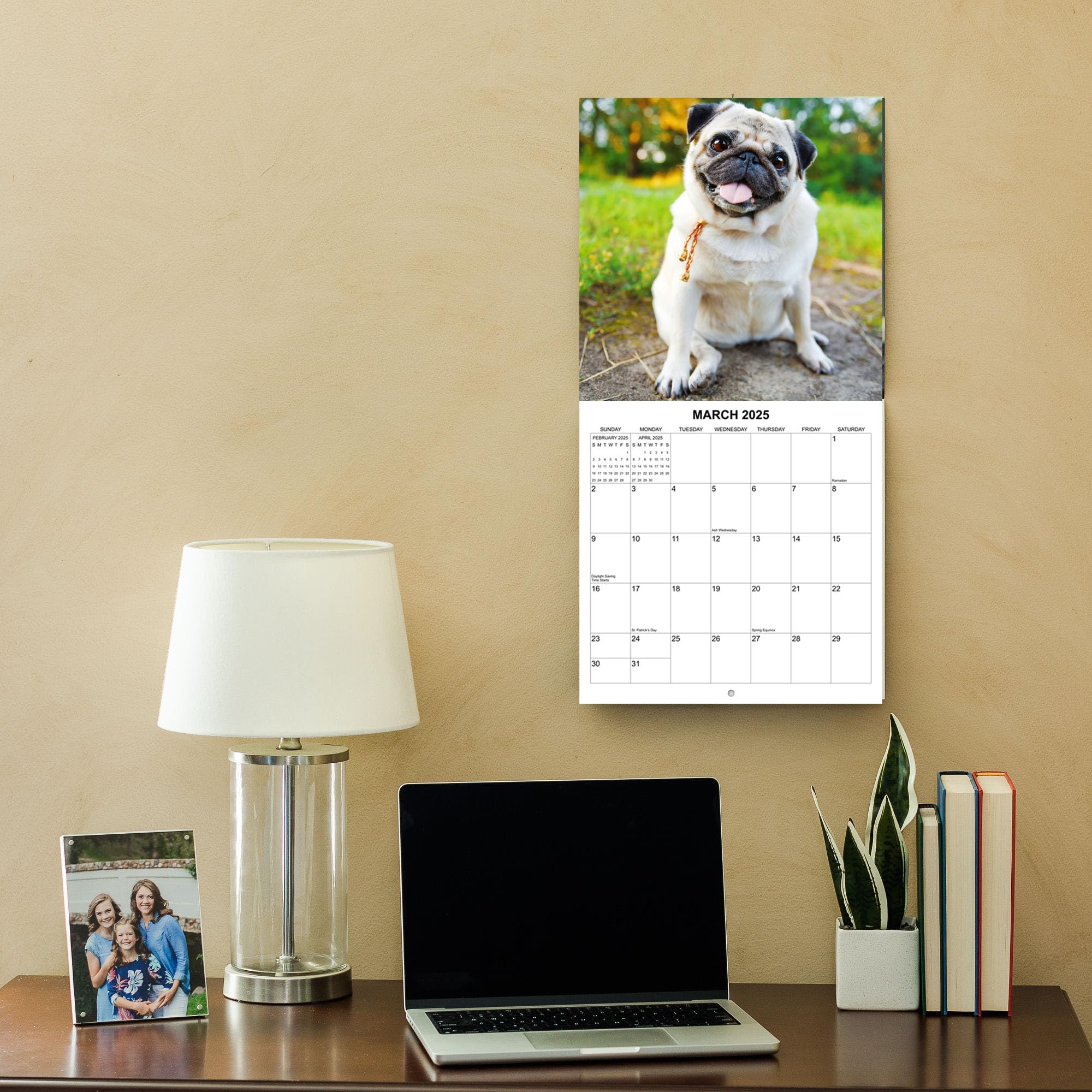 2025 Pugs Monthly Wall Calendar - 12