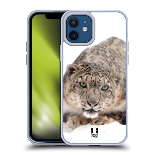 Snow Leopard On Ice