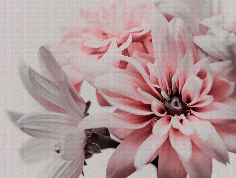 Floral Blooms Wall Art - Elegant Botanical Decor for Living Room, Bedroom & Office | Perfect for Home & Office Decor