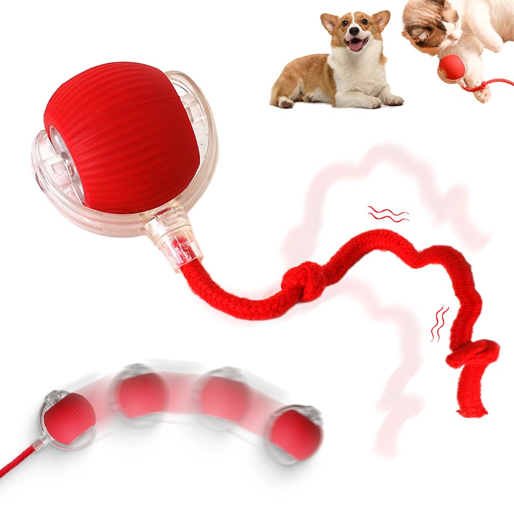 2024 Upgraded Interactive Rolling Ball Toy for Dogs & Cats - Automatic Self-Moving 360° Electric Pet Ball - Red - Perfect for Indoor Play, Exercise & Mental Stimulation