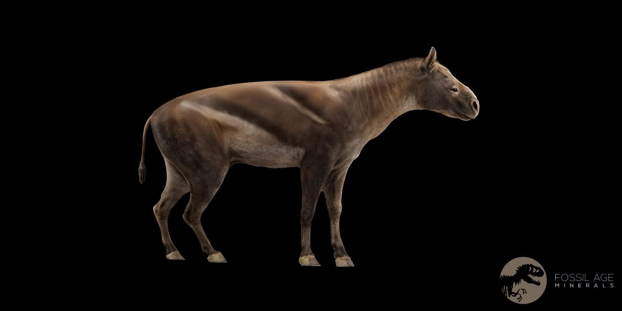 5.4
