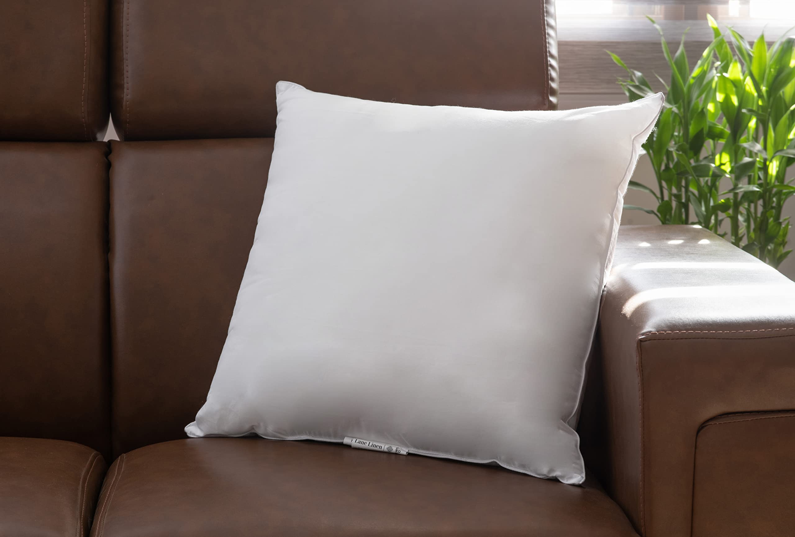 LANE LINEN 18x18 Inch Down Alternative Throw Pillow Inserts (Pack of 2) - Soft White Decorative Pillow Filler for Couch, Bed & Living Room - Perfect for Home Decor, Sofa Accents and Cozy Comfort