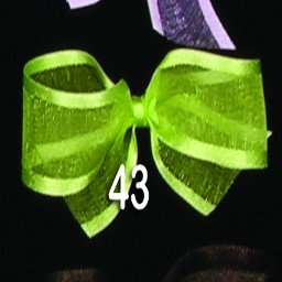 Lime Green Satin Edged Organdy Georgette Craft Ribbon - 16mm x 120 Yards (131m) - Perfect for Gift Wrapping, DIY Crafts, Wedding Decorations & Scrapbooking