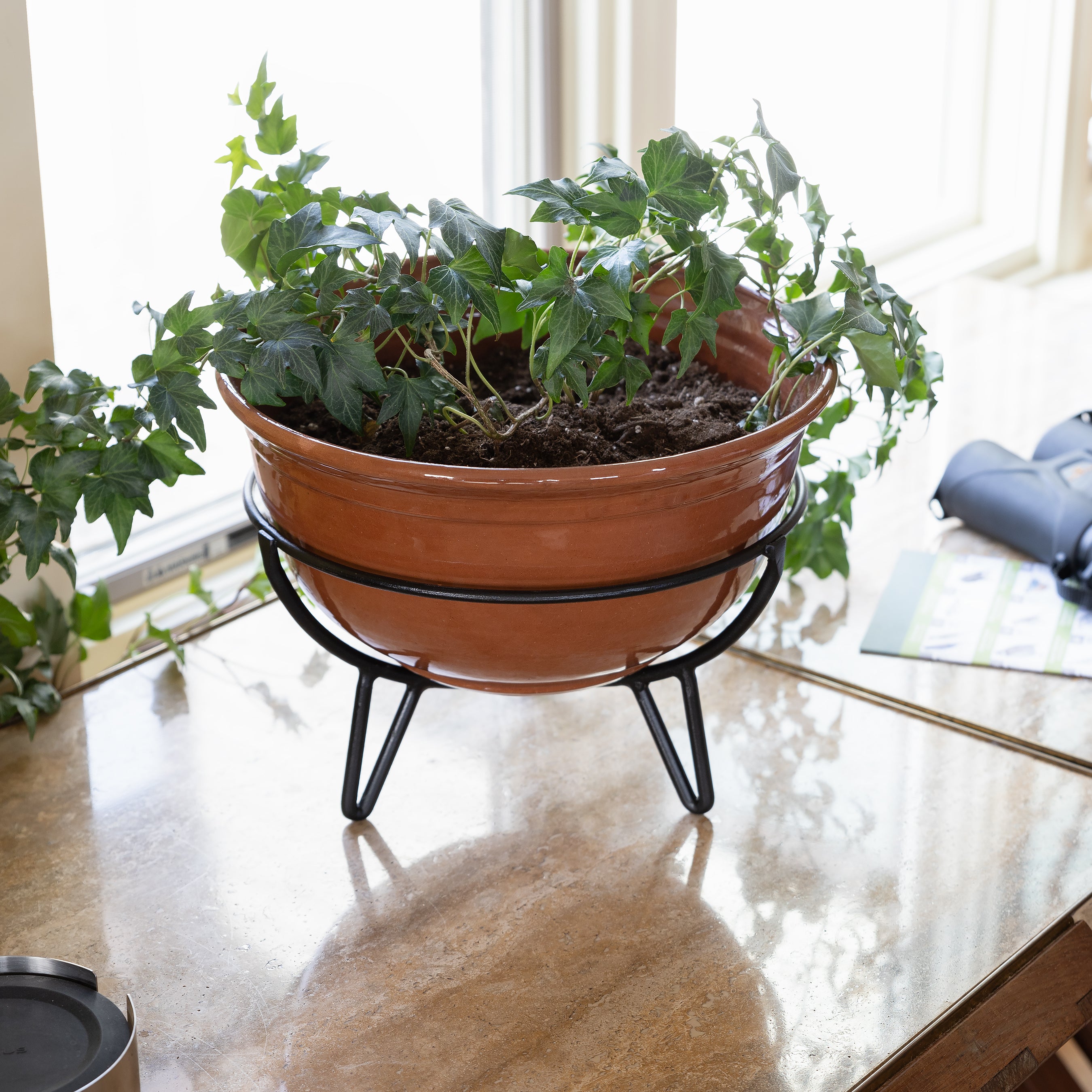 Achla Designs Frida Plant Stand - Modern Indoor & Outdoor Flower Pot Holder for Home Decor, Garden, Patio, and Balcony