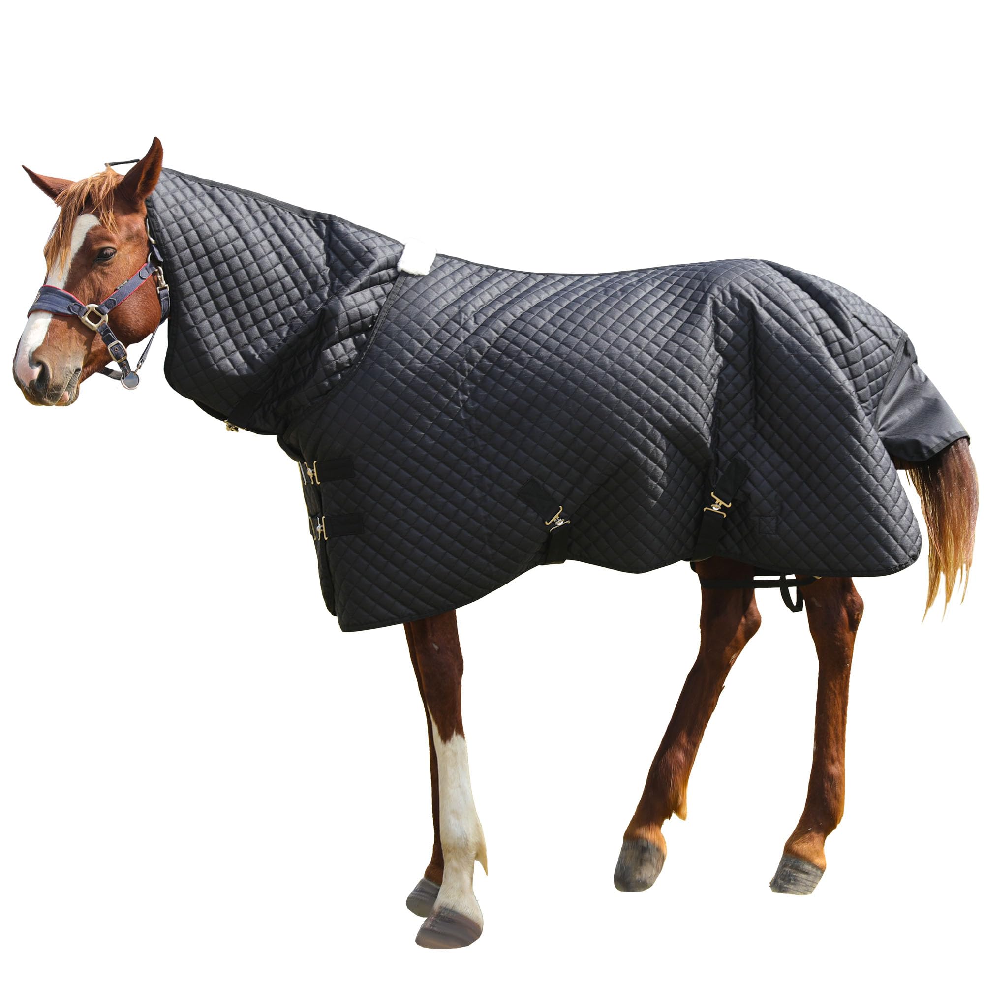 HOMBYS 600D Waterproof Winter Horse Blanket Combo - 75 Inch Heavy Duty Turnout Blanket for Real Horses, High Density Quilted Black Horse Sheet - Ideal for Cold Weather Riding, Stable Use & Outdoor Protection