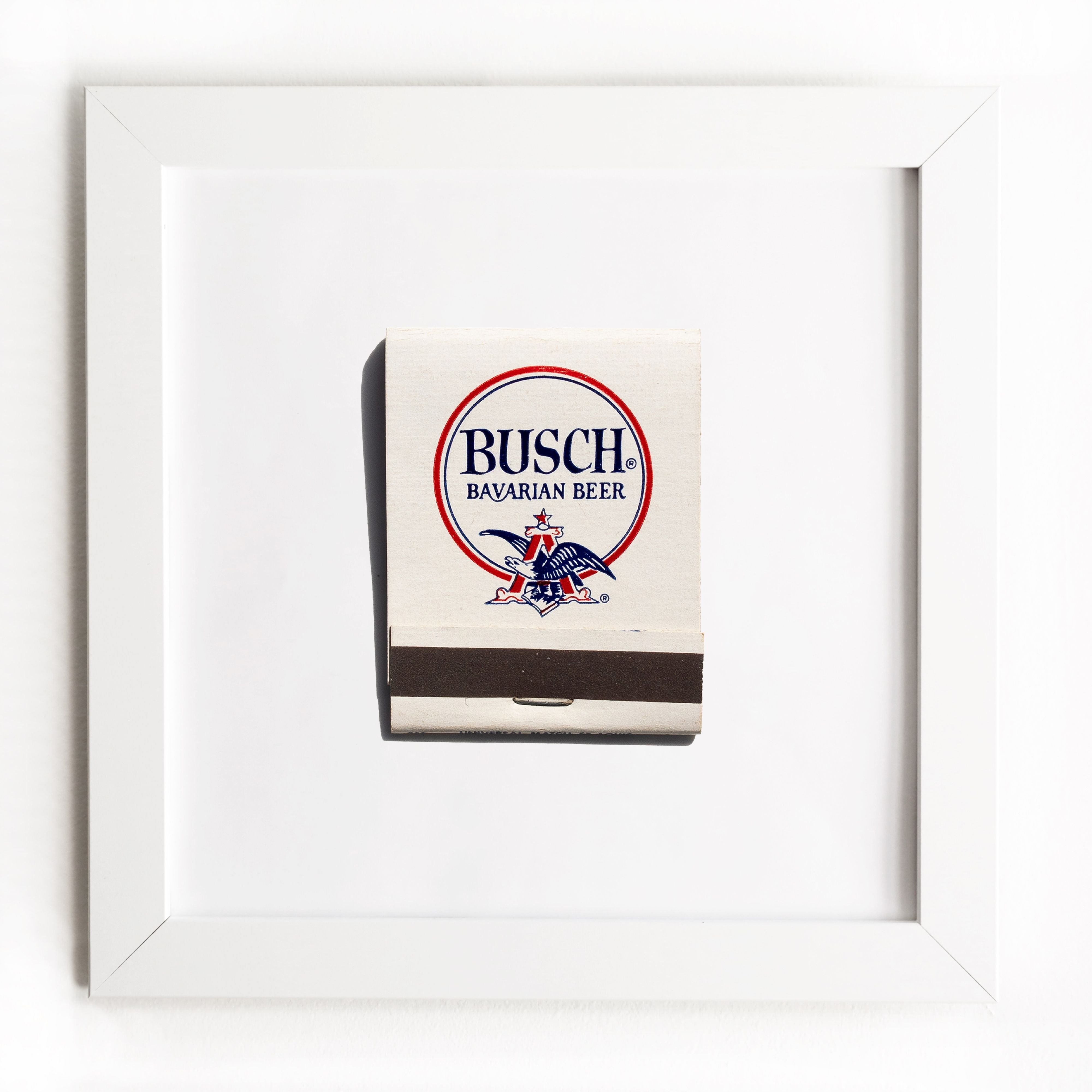 Busch Bavarian Beer - Authentic German Lager - Premium Imported Beer for Parties, BBQs & Celebrations