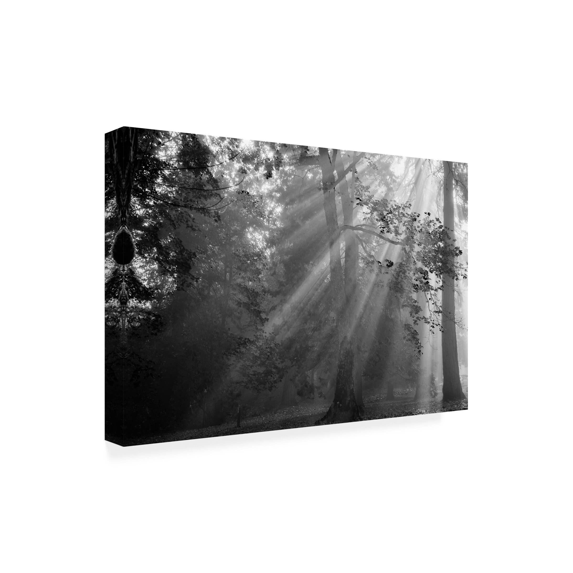 Trademark Fine Art 'In A Haze' Canvas Wall Art Print by Tim Oldford - Modern Abstract Painting for Living Room, Bedroom & Office Decor