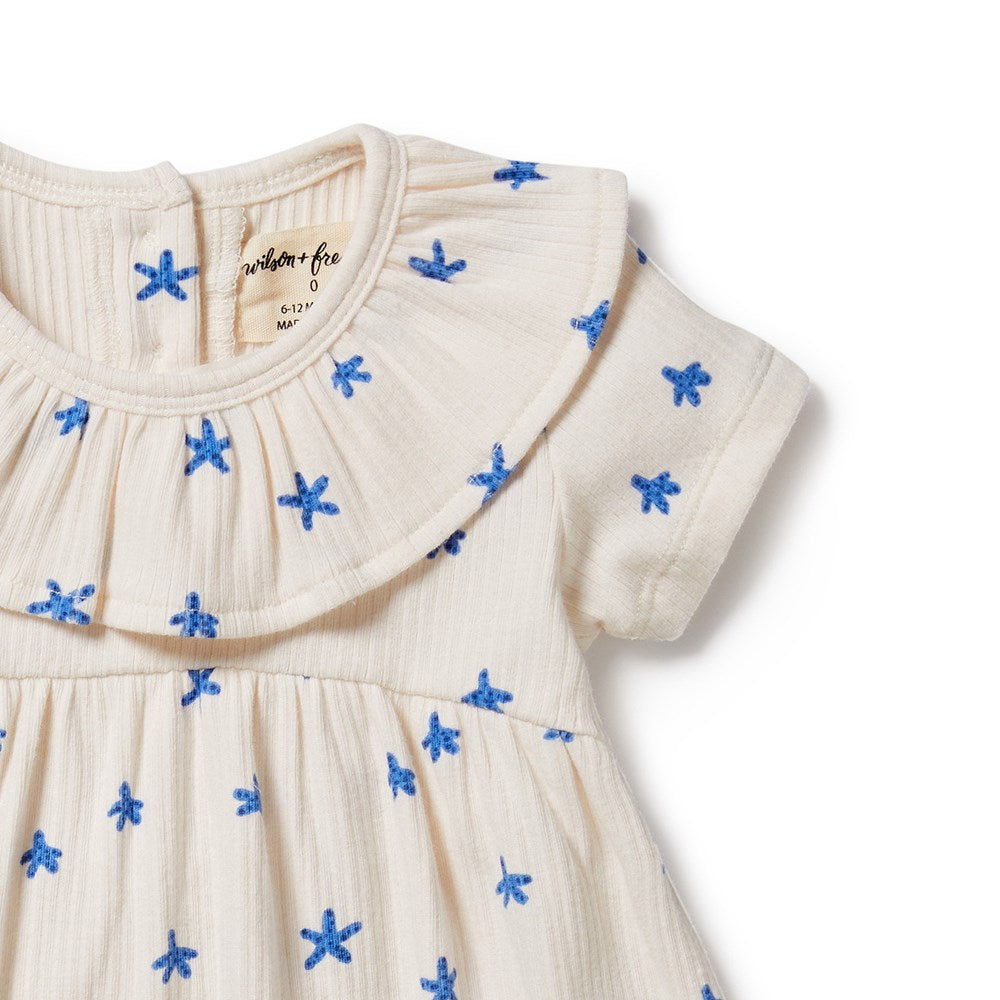 Little Starfish Organic Cotton Rib Ruffle Dress for Baby Girls - Perfect for Birthday Parties, Photo Shoots & Special Occasions