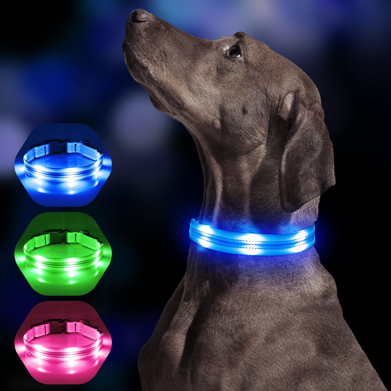 USB Rechargeable LED Dog Collar - Super Bright Glow in The Dark Safety Collar with Reflective Nylon for Small, Medium & Large Dogs | Perfect for Night Walking, Jogging & Outdoor Adventures