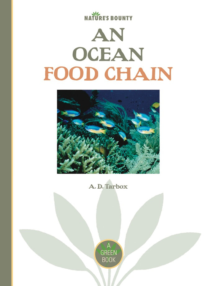 Ocean Food Chain Explained | Marine Ecosystem & Aquatic Life Food Web | Perfect for Science Classrooms & Educational Projects