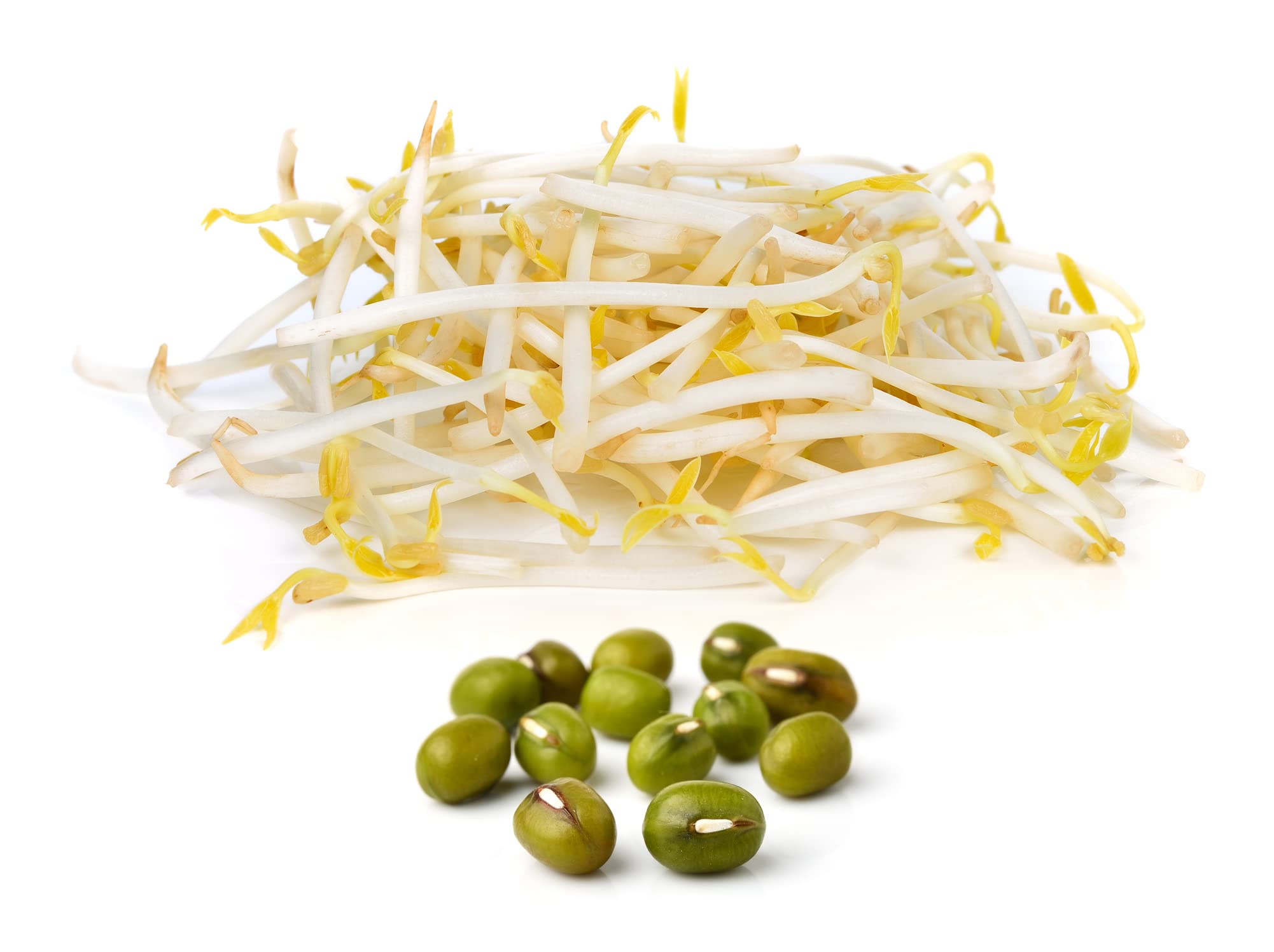 Organic Mung Bean Seeds 250g - High Germination Rate for Sprouts, Microgreens & Vegan Raw Food | Perfect for Home Gardening, Healthy Salads & Plant-Based Diets