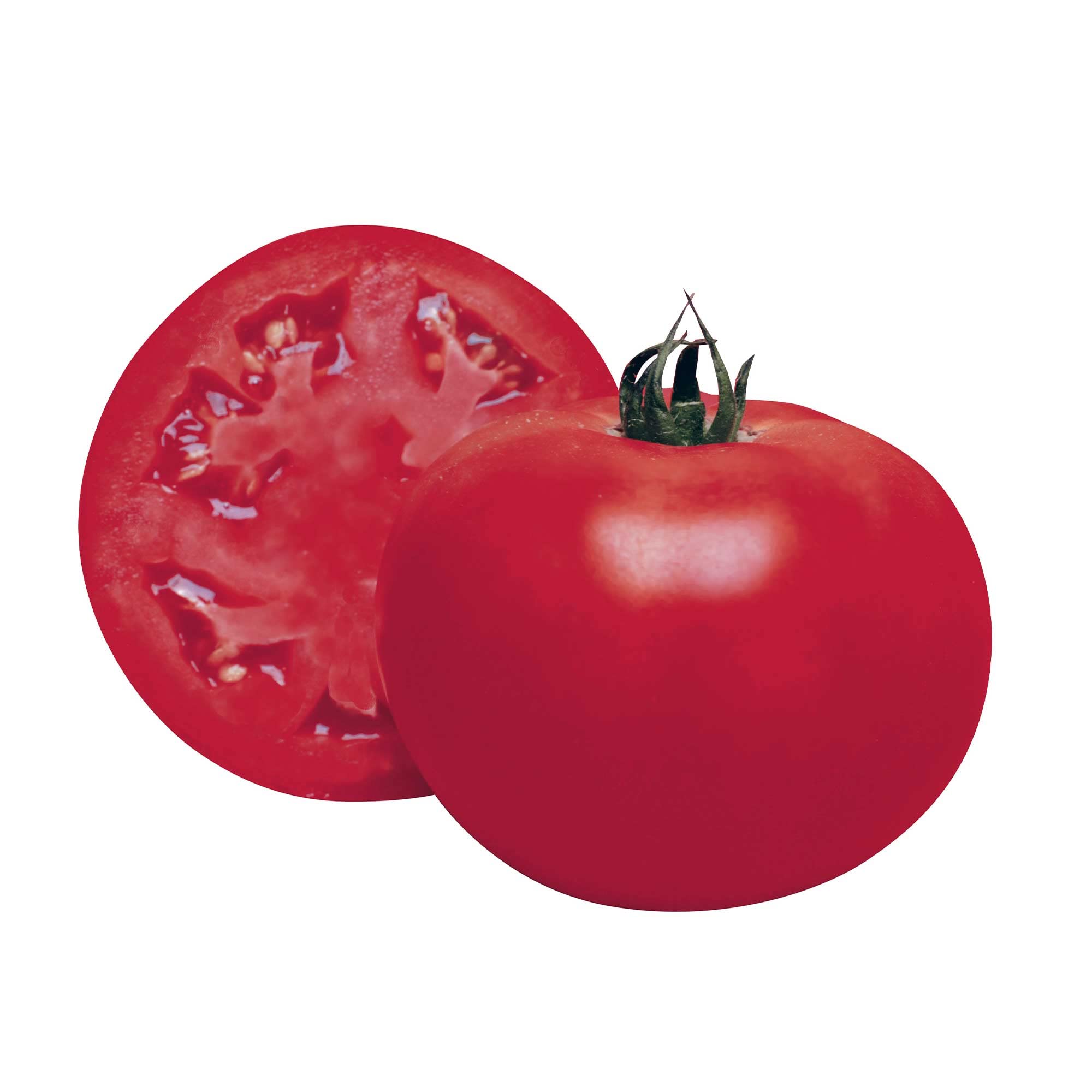 Katana F1 Hybrid Tomato Seeds - Non-GMO, 10 Count - Asian Garden Vegetable for Home Gardening & Container Planting