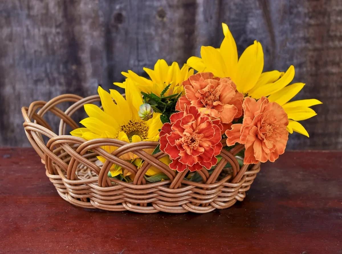 5D Diamond Painting Kit Full Drill DIY Diamond Rhinestone Art - 12x16 Inch Sunflower Flower Canvas for Home Wall Decor, Birthday Gift & Stress Relief Craft (Perfect for Living Room, Bedroom Decor & Family Activities)