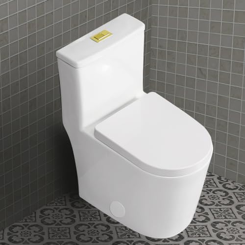 White toilet with Gold Button