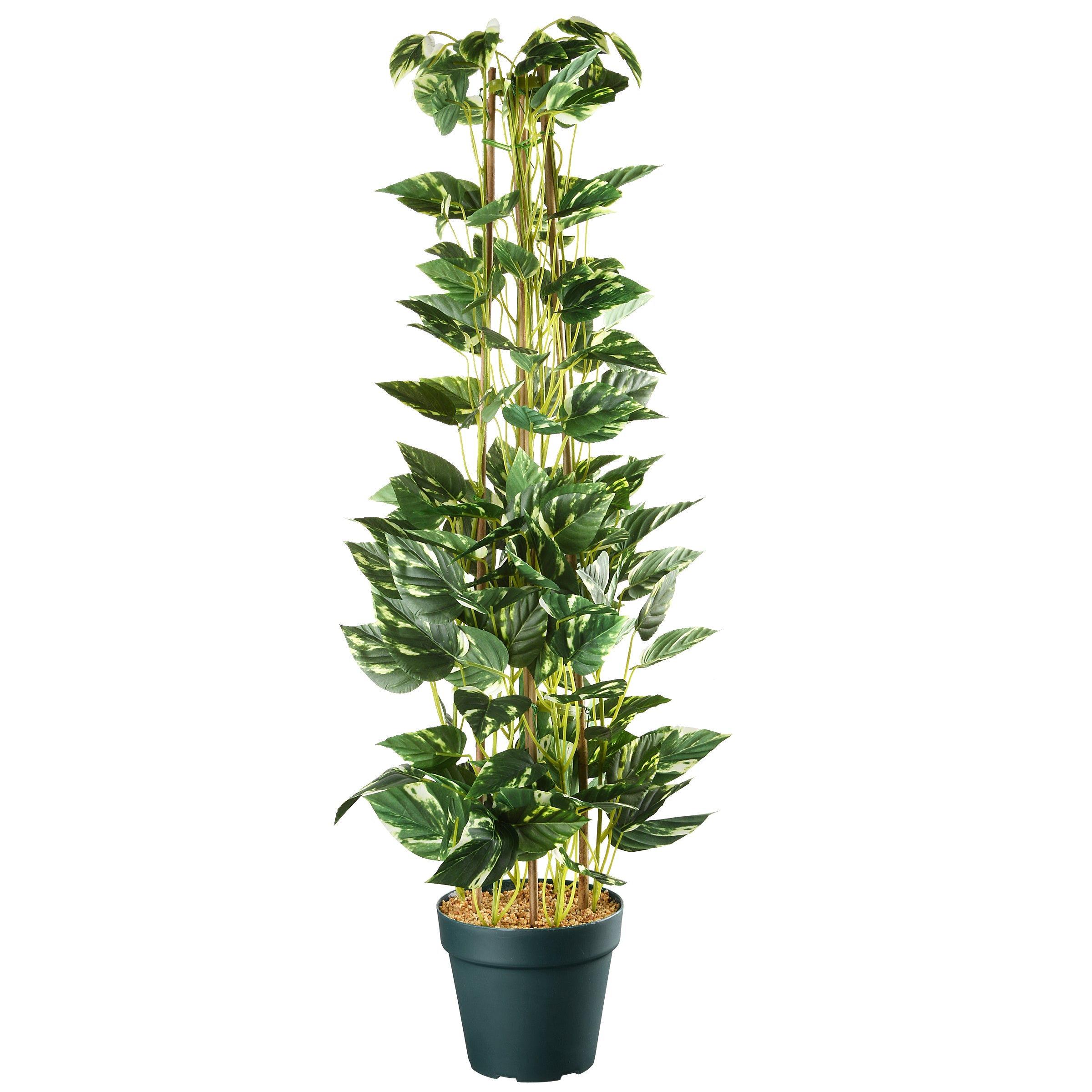 39 in. Pothos Hanging Plant - Golden Pothos Live Indoor Houseplant for Home Decor, Office & Bedroom - Low Maintenance Air Purifying Plant