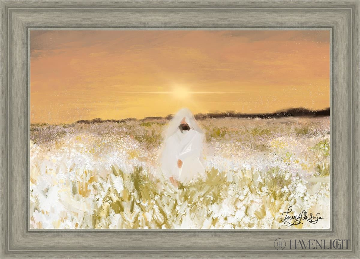 He Has Come by Lacey Christenson - Inspirational Christian Book for Women's Bible Study & Daily Devotionals - Perfect for Book Clubs, Gifts & Personal Spiritual Growth