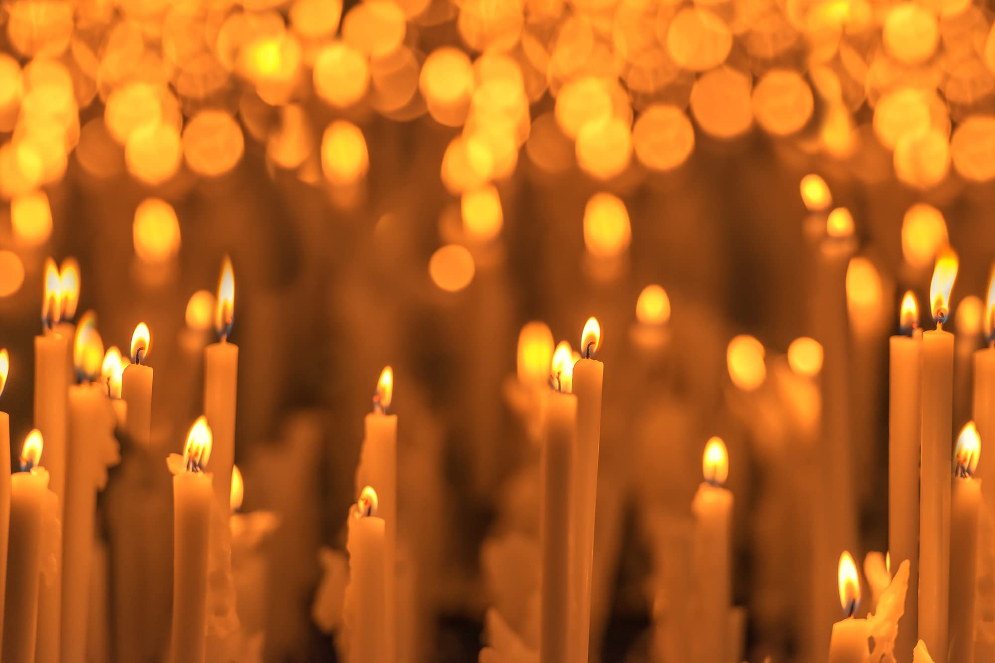 50 Beeswax Taper Candles 9 Inch - Handmade Pure Beeswax Candles with Natural Honey Scent for Church, Home, Wedding & Religious Ceremonies - Eco-Friendly Dripless Candles for Prayer, Meditation & Relaxation