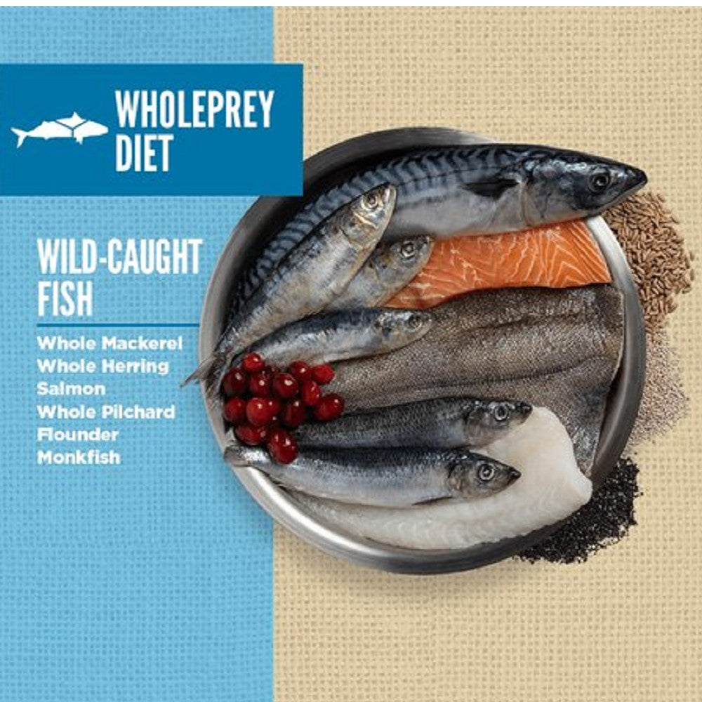 Amazing Grains 6 Fish Formula Adult Dog Dry Food - High Protein Grain-Free Salmon & Whitefish Recipe for Medium & Large Breeds - Perfect for Active Dogs & Outdoor Adventures (Made in USA)
