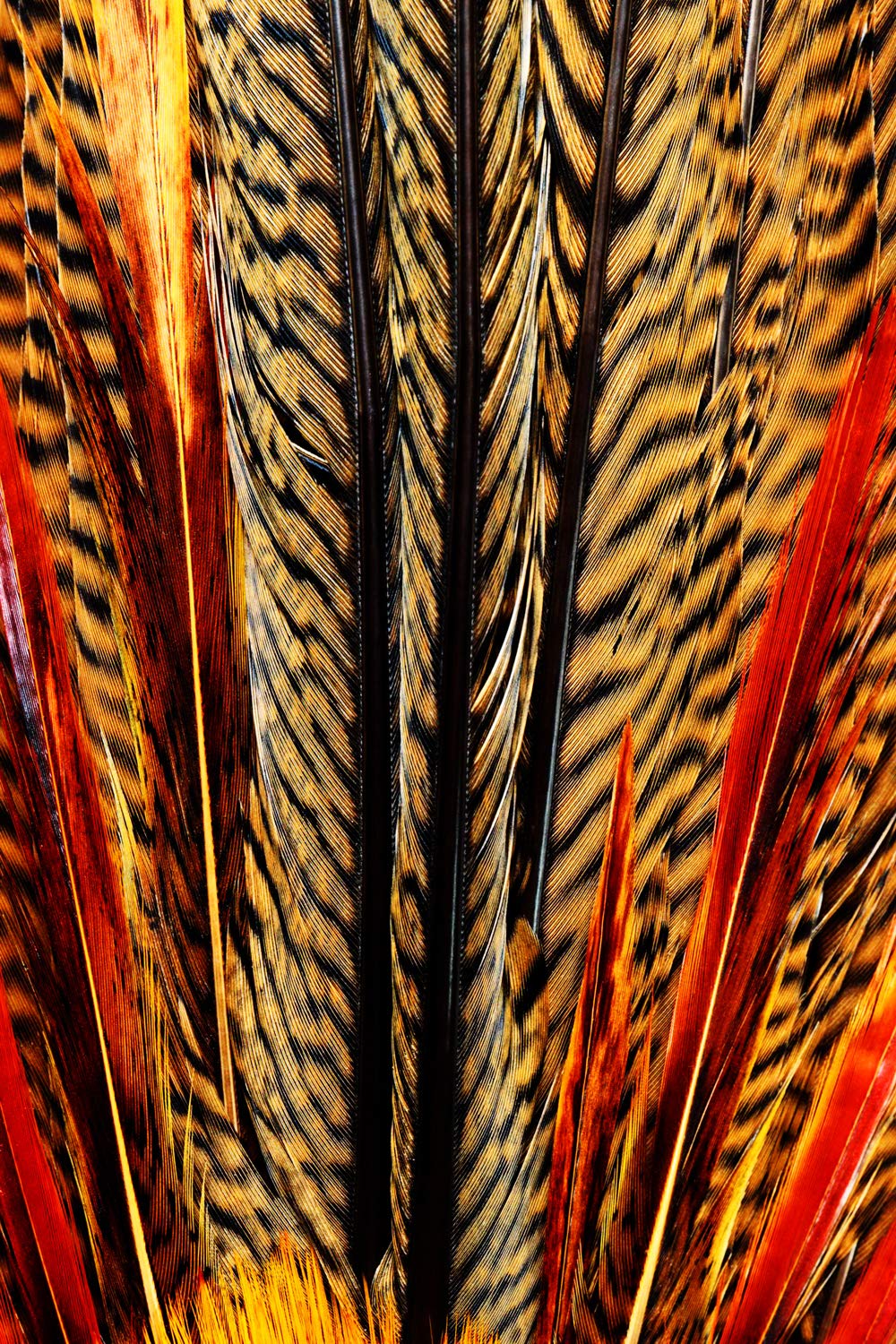Natural Yellow Golden Pheasant Feathers 1/8 Lb Bulk - Wholesale Plumage for Halloween Decorations, Wedding Crafts, Costume Design & DIY Projects | Moonlight Feather Supplier