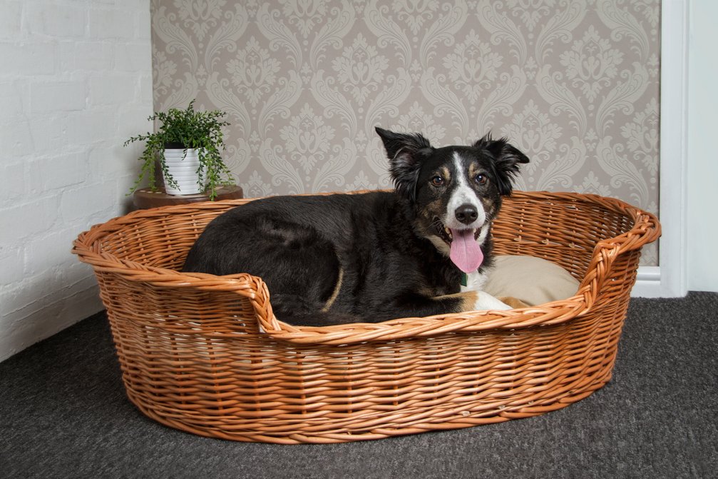 Cozy Small Pet Bed Basket - 55cm Washable Dog & Cat Bed for Small Breeds - Perfect for Indoor Use, Living Room, Bedroom, or Pet Carriers