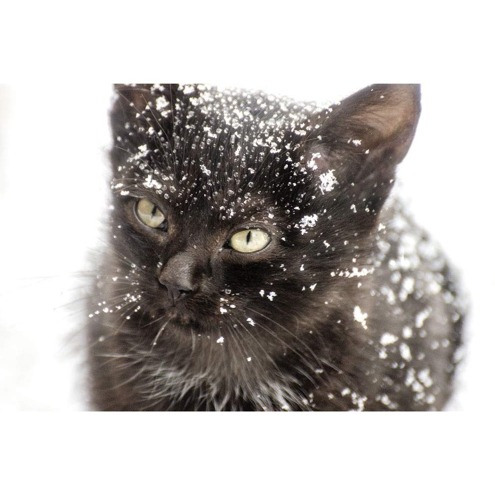 Premium 500-3000 Piece Winter Christmas Cat Jigsaw Puzzles for Adults - Challenging Cute Pet Puzzle Games for Easter, Mother's Day & Father's Day Gifts - Home Decor & Family Activity (Model 210410)