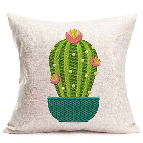 Pink Cactus