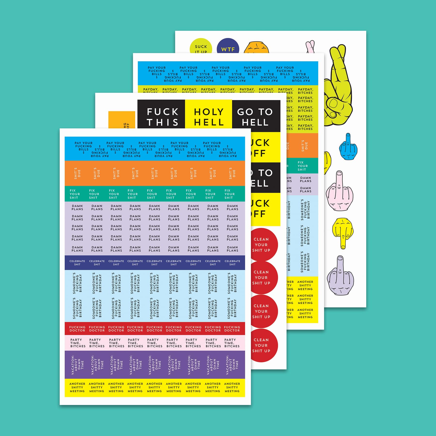 2025 Carpe F*cking Diem Planner - 17-Month Weekly Organizer with Motivational Stickers (Through December 2025) | Perfect for Goal Setting, Productivity & Stress Relief | Funny Calendar & Gift for Professionals, Students & Entrepreneurs